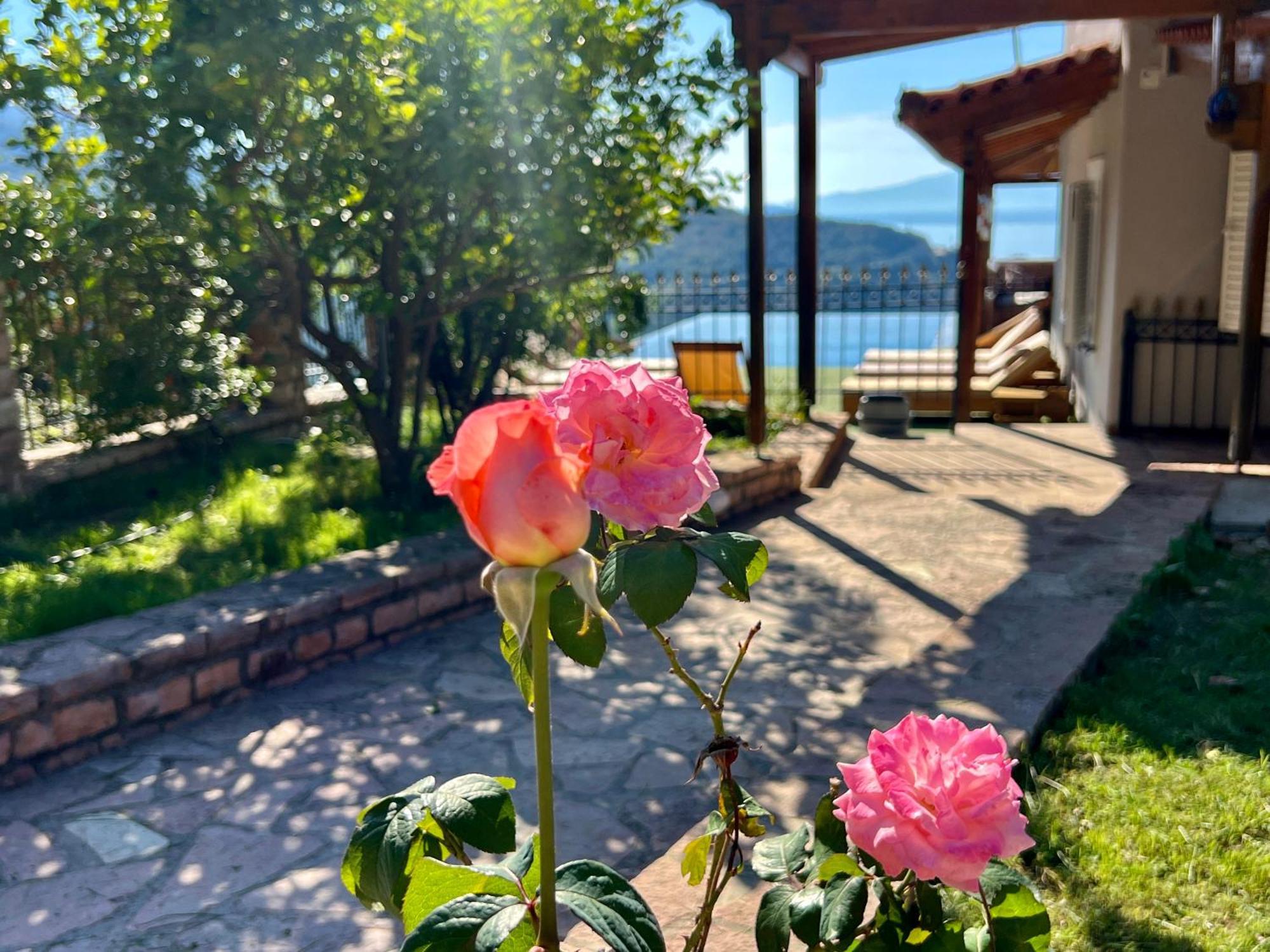 Vila Elezi Piqeras Borsh Buitenkant foto
